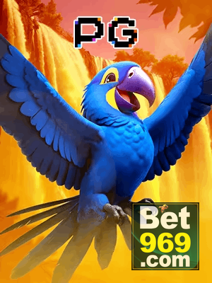 969BET bônus — cashback 15 por cento e níveis VIP